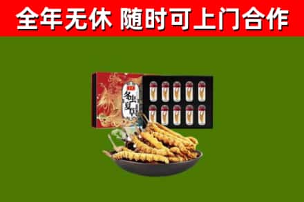 宝山回收冬虫夏草价格